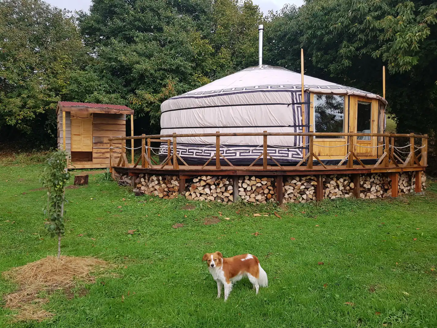 Alles over het aanschaffen van een yurt in Europa